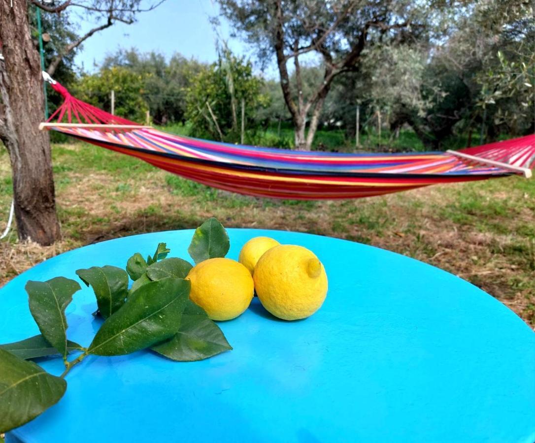 Citrus Tree Garden House Villa Kamiszianá Kültér fotó