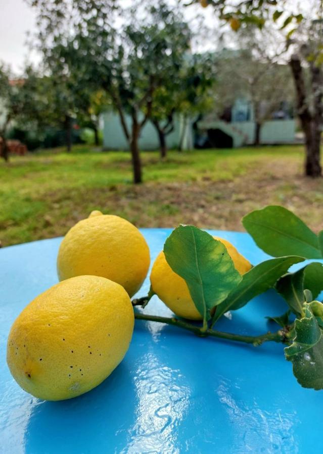 Citrus Tree Garden House Villa Kamiszianá Kültér fotó