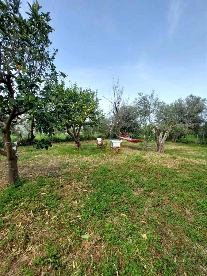 Citrus Tree Garden House Villa Kamiszianá Kültér fotó