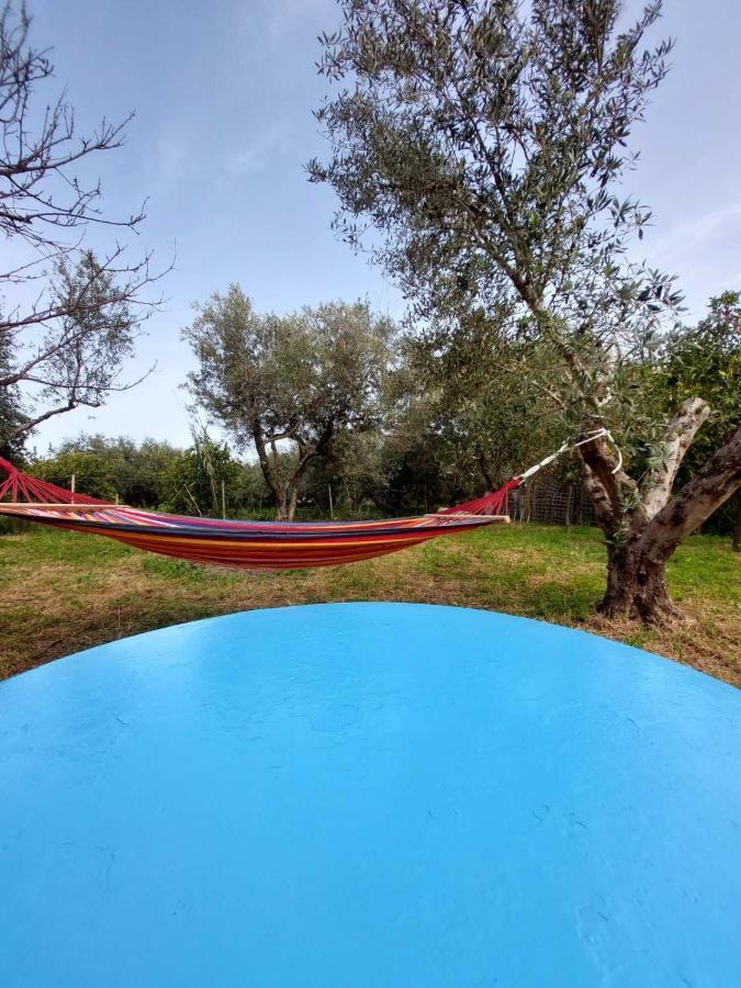 Citrus Tree Garden House Villa Kamiszianá Kültér fotó