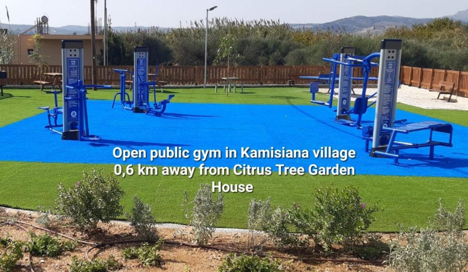 Citrus Tree Garden House Villa Kamiszianá Kültér fotó